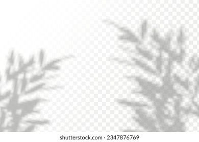 tropical background leaves 