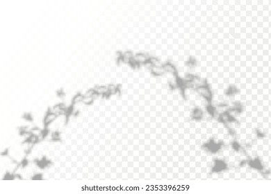 Realistic shadow tropical leaves and branches on transparent checkered background. The effect of overlaying shadows. Natural light layout.