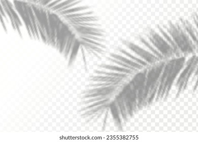 Realistic shadow tropical leaves and branches on transparent checkered background. The effect of overlaying shadows. Natural light layout.