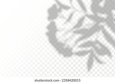 Realistic shadow tropical leaves and branches on transparent checkered background. The effect of overlaying shadows. Natural light layout.