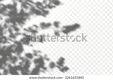 Similar – Image, Stock Photo Foliage | shadow play on the awning.