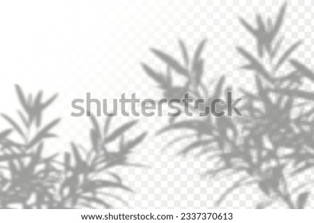 Realistic shadow tropical leaves and branches on transparent checkered background. The effect of overlaying shadows. Natural light layout.