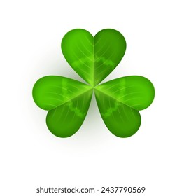 Realistic shamrock icon. Clover three leaves logo. Green floral sticker. Trefoil sign. St Patrick Day decoration for greeting card. Irish tradition motif, ornament element. Vector illustration EPS 10.