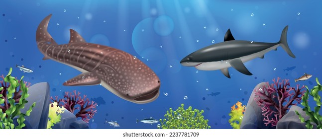 Realistic shark composition with dangerous predators on underwater background vector illustration