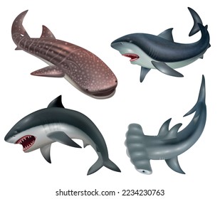 Iconos de peces de tiburón realistas colocados sobre fondo blanco ilustraciones vectoriales aisladas