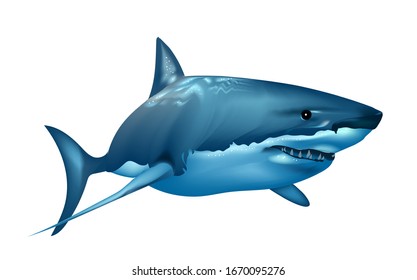 Realistic shark in the ocean on white background. Wall stickers	