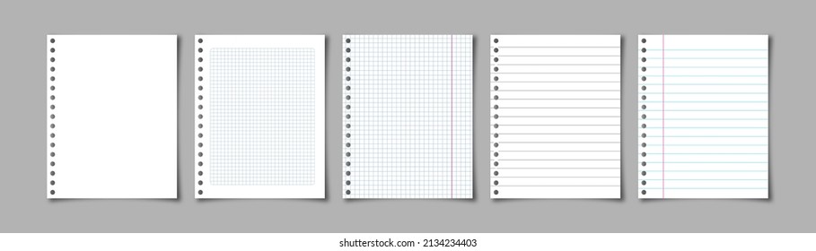 Realistic sheets of paper from exercise book. Squared and lined blank pages. Vector Illustration.