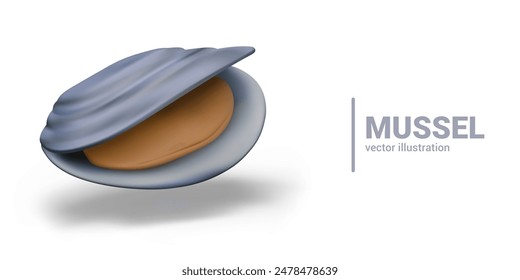Realistic shell with open flaps. Round edible mollusk, mussel. Vector raw oyster