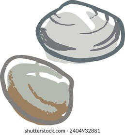 Realistic shellfish, scallion and clam, vector illustration.