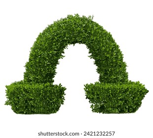 Realistic shrub on white background.