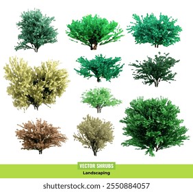 Realistic shrubs collection isolated on white background