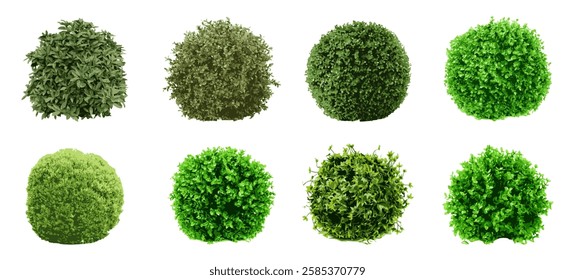 Realistic shrubs collection isolated on white background. 3d shrubs set on white background