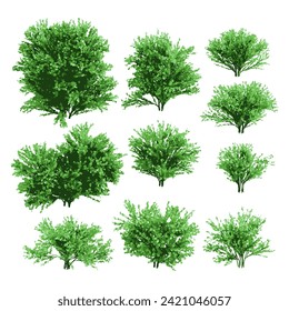 Realistic shrubs collection on white background.Set of shrubs