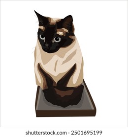 Realistic siamese Cat sitting in the box.