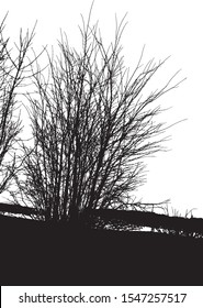 Realistic silhouette of bush with bare branches (Vector illustration)