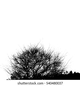 Realistic silhouette of bush with bare branches (Vector illustration).eps10