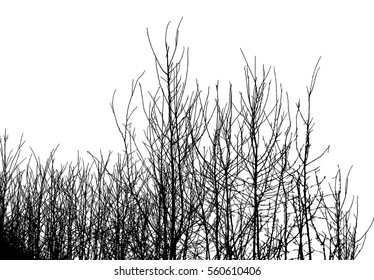 111,803 Silhouette of the bush Images, Stock Photos & Vectors ...