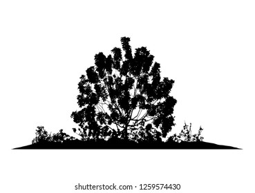 Realistic silhouette of a Bush with leaves (vector illustration) Eps10