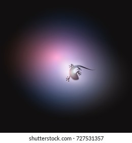 Realistic silhouette of a lizard, vector illustration