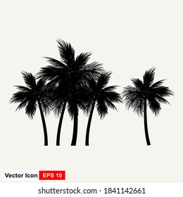 Realistic Silhouette Tropical Coconut Palm Tree, black silhouettes and outline contours on white background. Vector Illustration.
