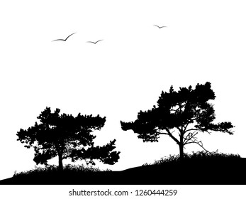 Realistic silhouette of two pine trees and birds flying in the sky (vector illustration). Eps10