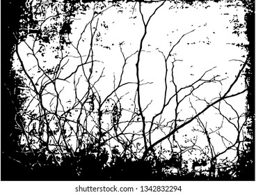 Realistic silhouettes of trees from nature.Realistic silhouette of a Bush with bare branches