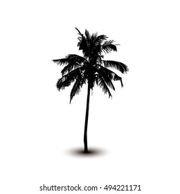Realistic SilhouetteTropical Coconut Palm Tree, black silhouettes and outline contours on white background. Vector
