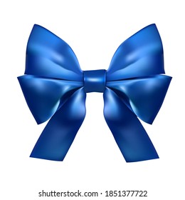 Realistic Silk Bow Vector Illustration EPS10