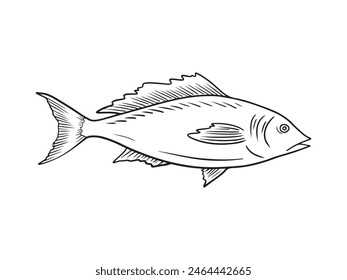 Realistic silver carp fish in black isolated on white background. Hand drawn vector sketch illustration in doodle engraved vintage style. Concept of fish, seafood, caviar, restaurant menu, icon.