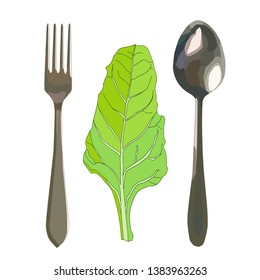 realistic silver fork and spoon with green chard salad isolated in white