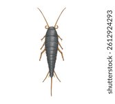 Realistic silverfish on white background. Top view. Vector.