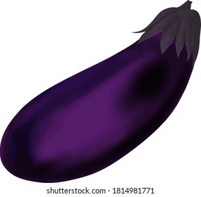 Realistic and simple eggplant illustration