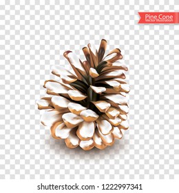 Realistic single dry pine cone with snow isolated on transparent background. Object for design. Vector illustration