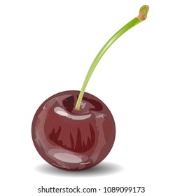 Realistic Single Red Cherry, Shiny & Appetizing Isolated on White Background. 3D Vector Illustration