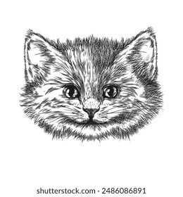Boceto realista de la cabeza de un gato. Ilustración vectorial de un retrato de gato dibujado a mano en blanco y negro, ideal para el diseño o el uso del logotipo en un fondo aislado.