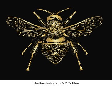 Realistic Sketch Of Insect - Vector Illustration Of Gold Bumble Bee On Black Background  - Detailed Vector Art 