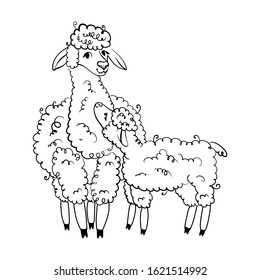 realistic sketch of LAMA Alpaca, black and white drawing, isolated on white
