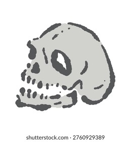 Realistic Skull Angled Vector Illustration - Hand Drawn Brush Stroke Bone Art