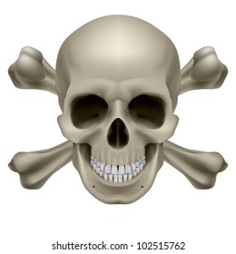 Realistic skull and bones. Illustration on white background