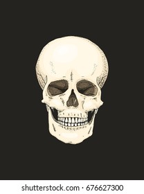 Realistic Skull with the color of the bone on black background. engraved hand drawn in old sketch and tattoo or vintage style. close up pirate.