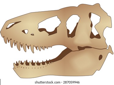 Realistic skull tyrannosaurus, vector