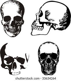 Realistic Skulls Stock Vector (Royalty Free) 33634264 | Shutterstock