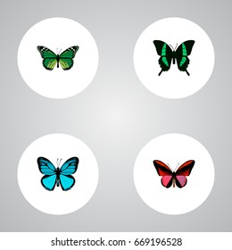 Realistic Sky Animal, Birdwing, Callicore Cynosura And Other Vector Elements. Set Of Moth Realistic Symbols Also Includes Cynosura, Fly, Butterfly Objects.