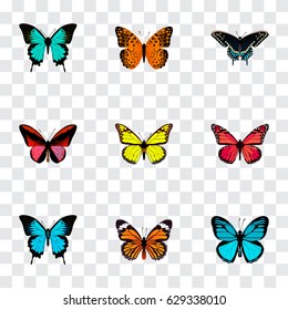 Realistic Sky Animal, Copper, Archippus And Other Vector Elements. Set Of Beauty Realistic Symbols Also Includes Peacock, Yellow, Butterfly Objects.