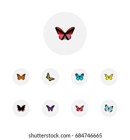 Realistic Sky Animal, Danaus Plexippus, Lexias And Other Vector Elements. Set Of Moth Realistic Symbols Also Includes Black, Orange, Butterfly Objects.