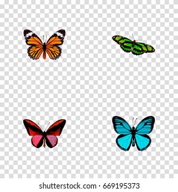 Realistic Sky Animal, Monarch, Green Peacock And Other Vector Elements. Set Of Moth Realistic Symbols Also Includes Cynosura, Fly, Monarch Objects.