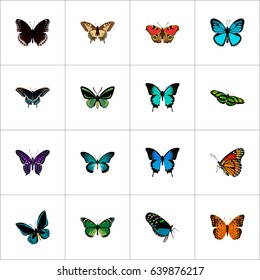Realistic Sky Animal, Tiger Swallowtail, Green Peacock And Other Vector Elements. Set Of Beauty Realistic Symbols Also Includes Orange, Malachite, Bluewing Objects.
