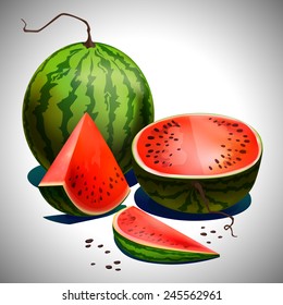 Realistic sliced watermelon, watermelon slice, vector