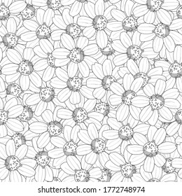 Realistic small gerbera flowers seamless pattern template. Daisy vector illustration in black and white for games, background, pattern, decor. Print for fabrics and other surfaces.Coloring paper, page