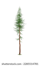 Realistic small green pine tree vector illustration